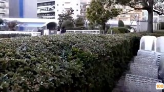 国产在线精品一区二区三区》,成人视频高清免费观看